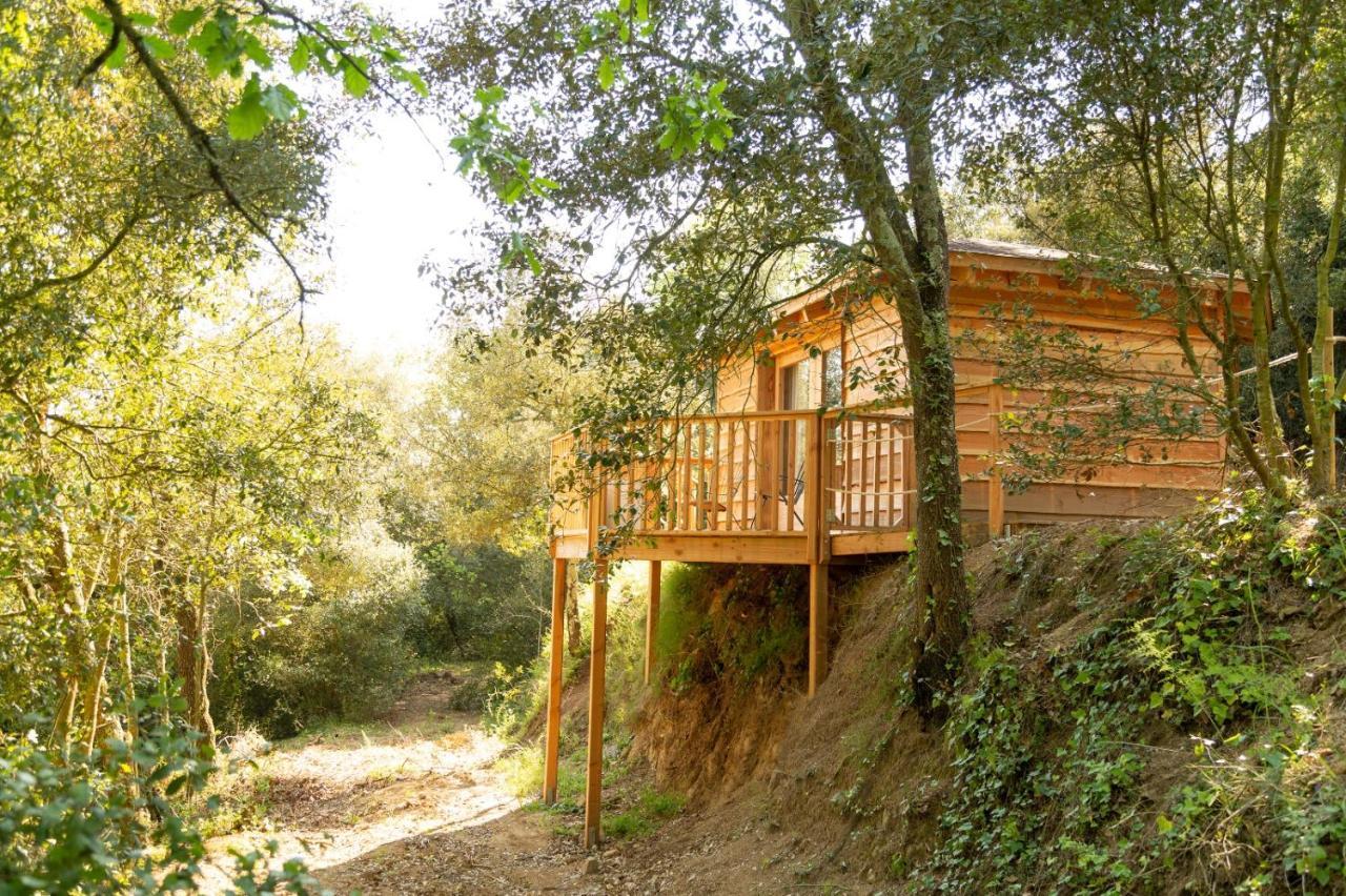 Nits De Bosc Guest House Vilassar De Dalt Exterior photo