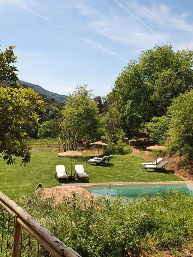 Nits De Bosc Guest House Vilassar De Dalt Exterior photo